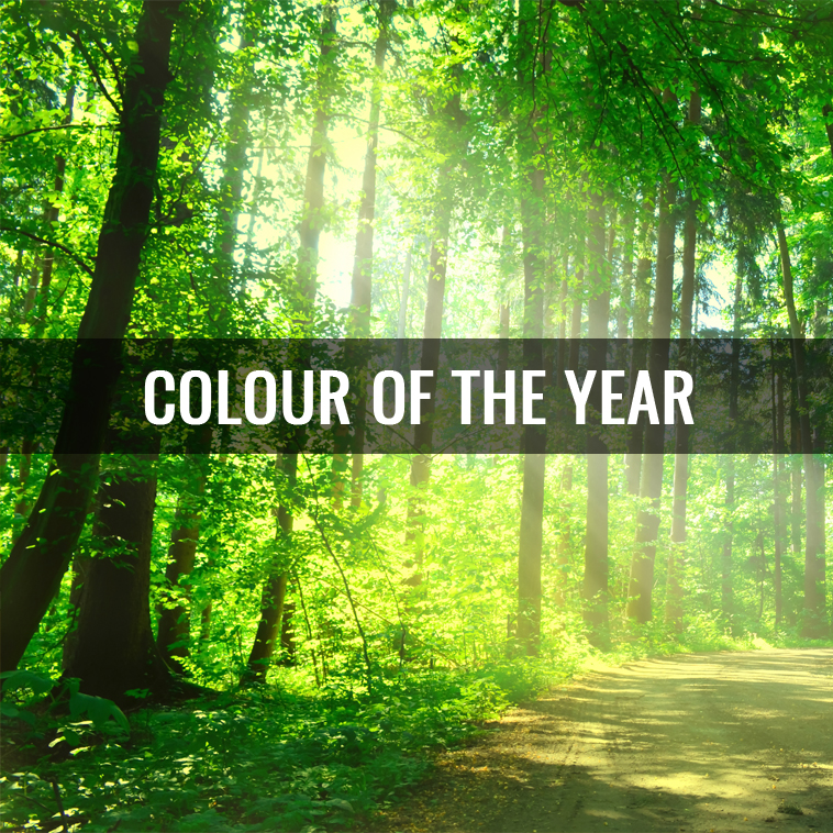 Introducing the Colour of 2017